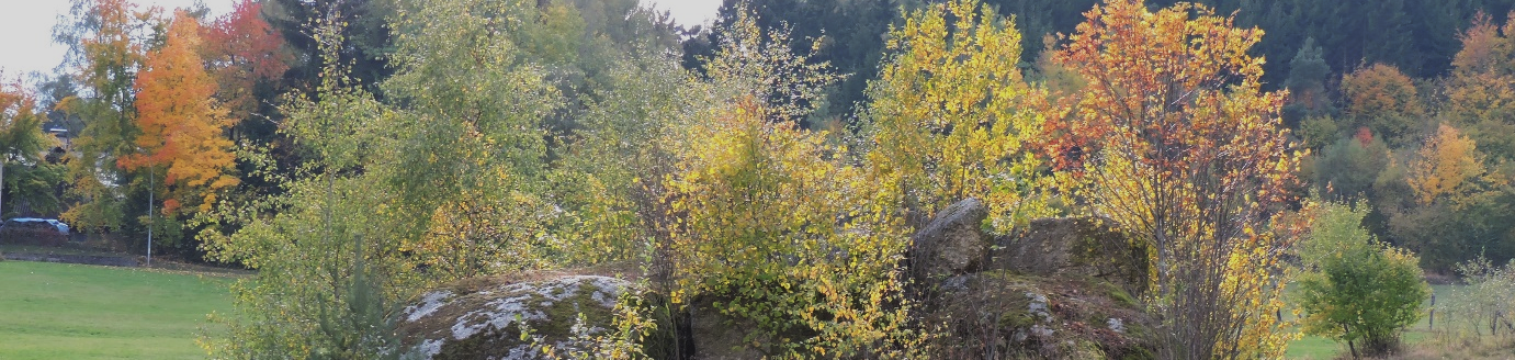 Banner_Biodiversität